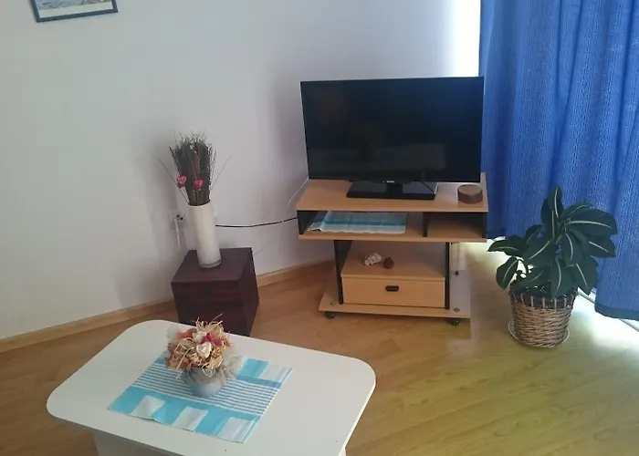 Zelic アパート *